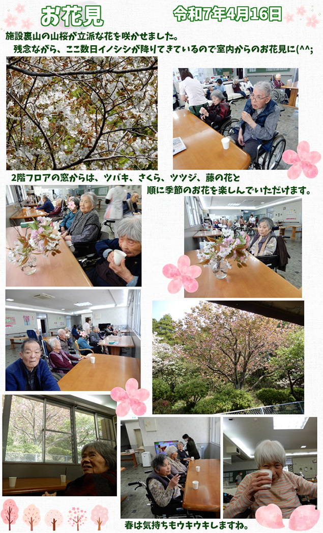 お花見